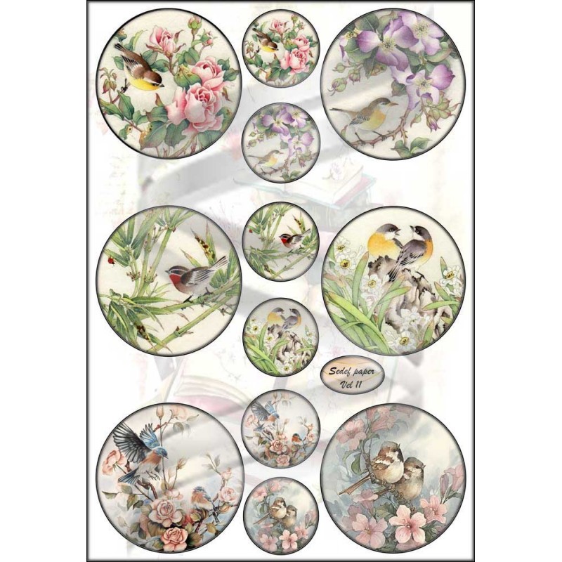 Knipvel S 11 Knipvel S 11