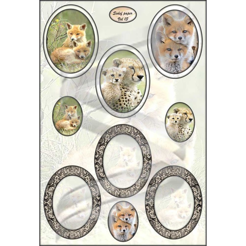 Knipvel S 13 Knipvel S 13