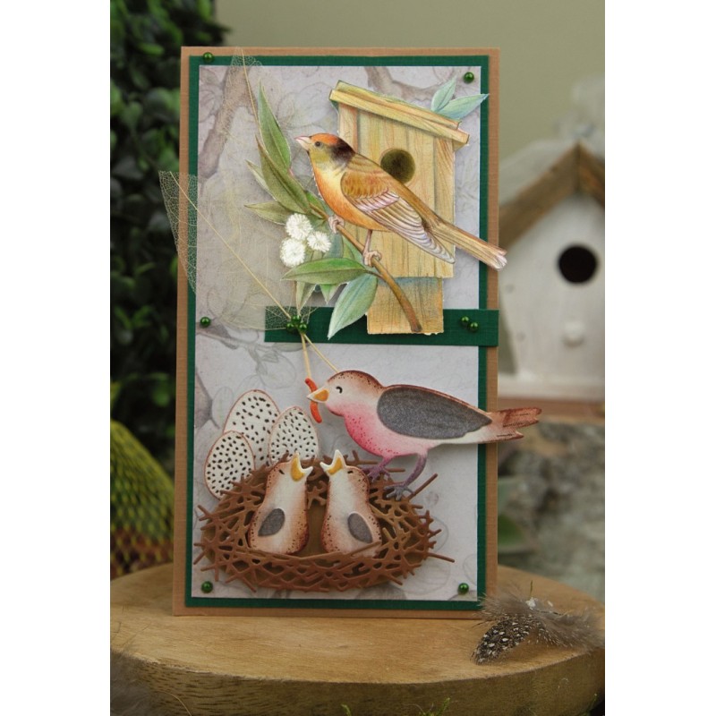 3D Cutting Sheets - Jeanine's Art - Vintage Birds - Wooden Birdhouse