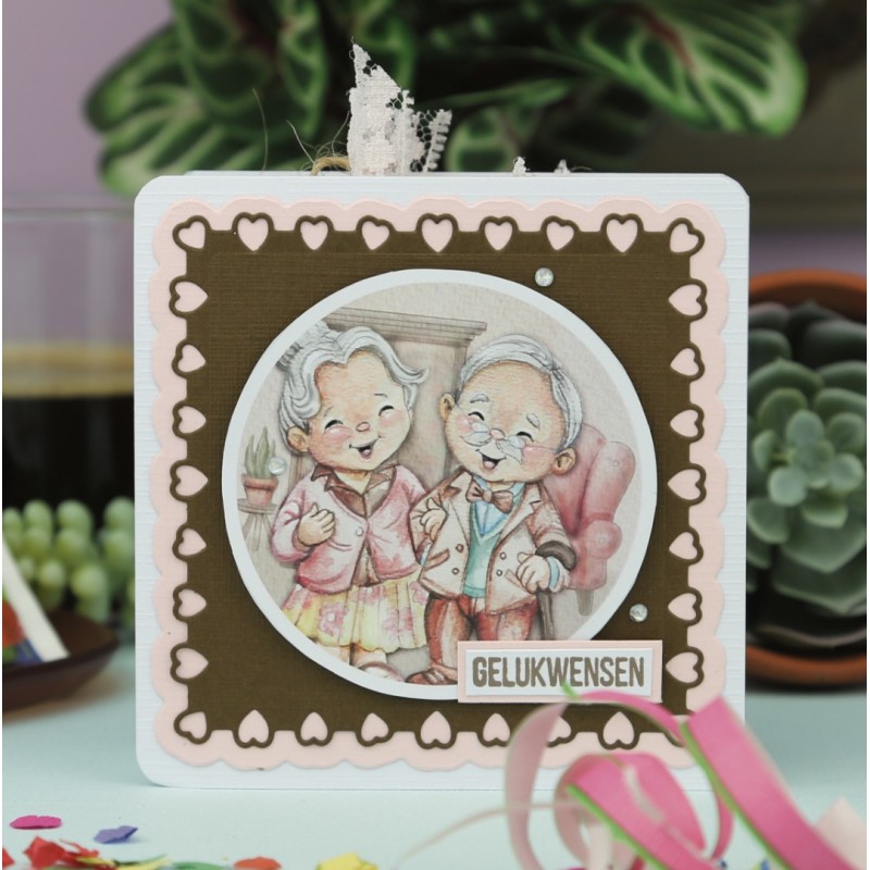 HJ226 + Knipvellenboek 23