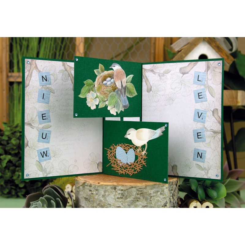 3D Cutting Sheets - Jeanine's Art - Vintage Birds - Bird's Nest