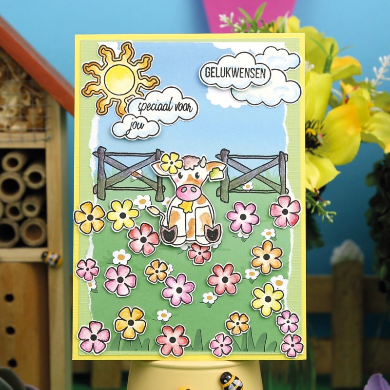 Hobbyzine Plus 56