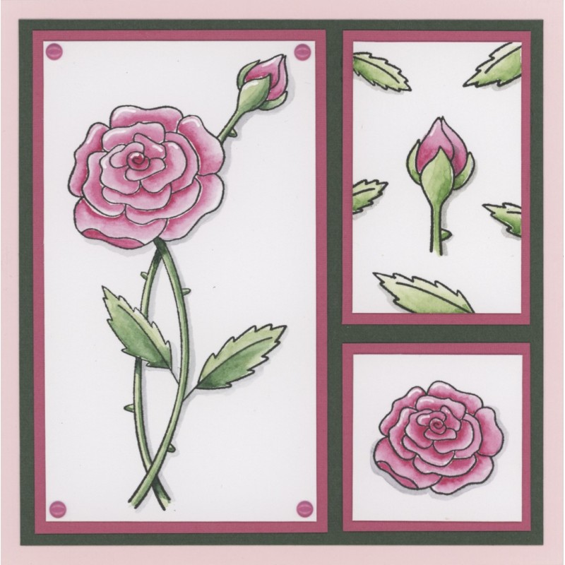 Clear Stamps - Amy Design - Pink Florals - Rose