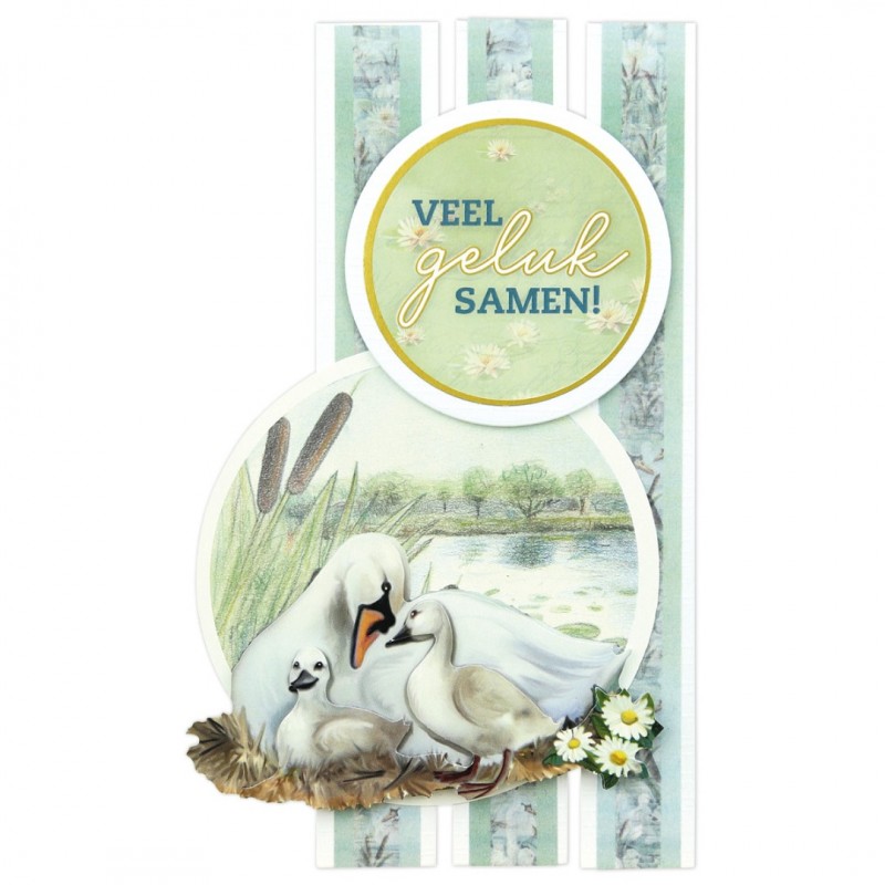 Scrap and Do Simply the Best 3 - Amy Design - Swans