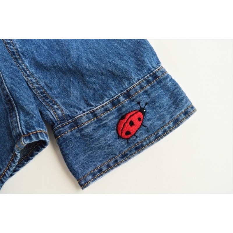 Stick and Stitch Butterfly Friends