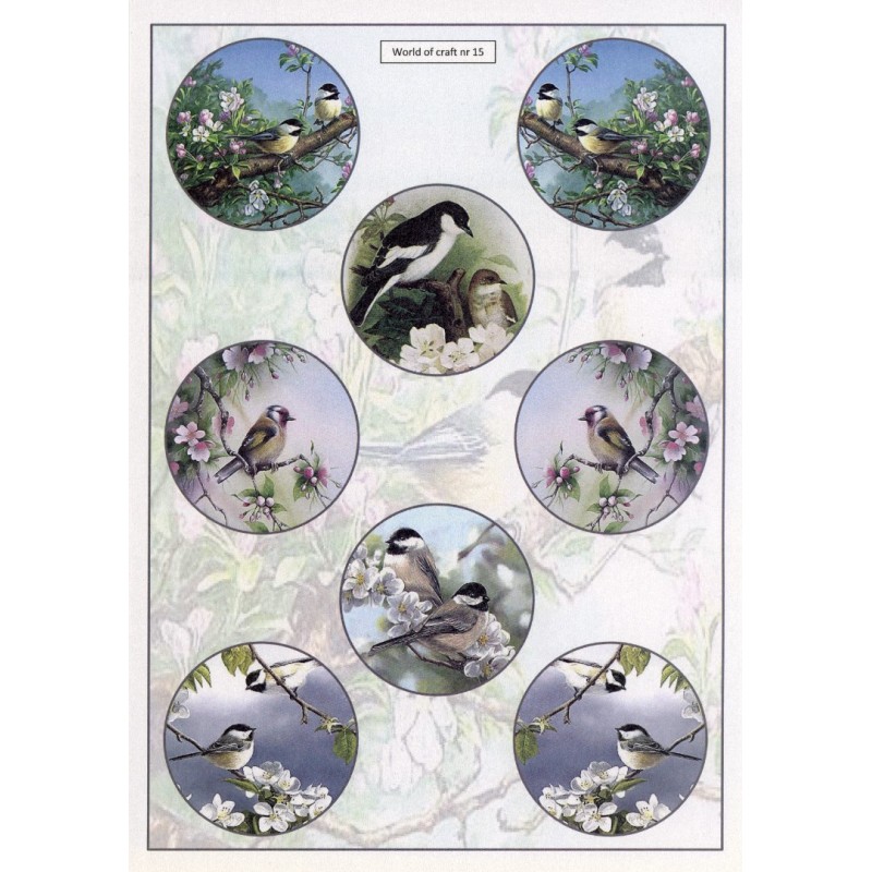Cutting Sheet - WOC - nr 15 - Spring Garden Birds Cutting Sheet - WOC - nr 15 - Spring Garden Birds